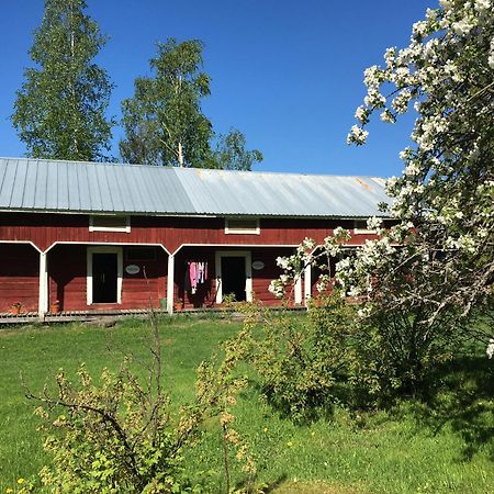 Ollilan Tupa Joensuun Laehellae Bed & Breakfast Ylämylly Exterior photo