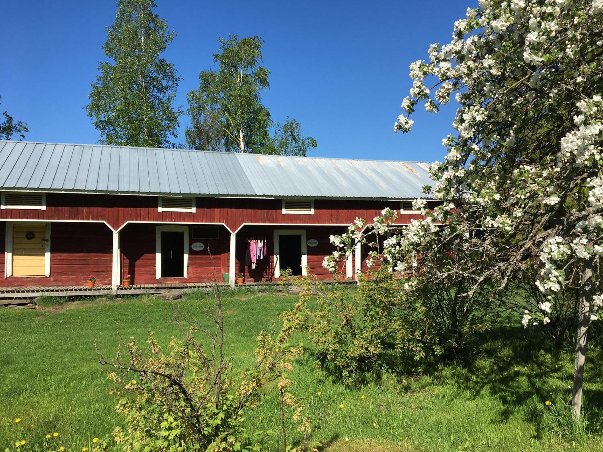 Ollilan Tupa Joensuun Laehellae Bed & Breakfast Ylämylly Exterior photo